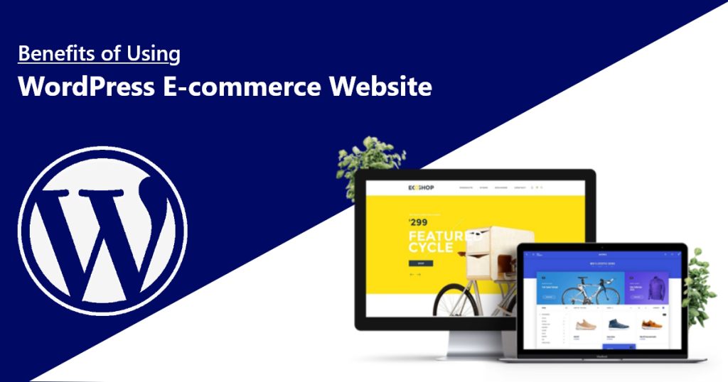 Benefits of Using WordPress E-commerce Website